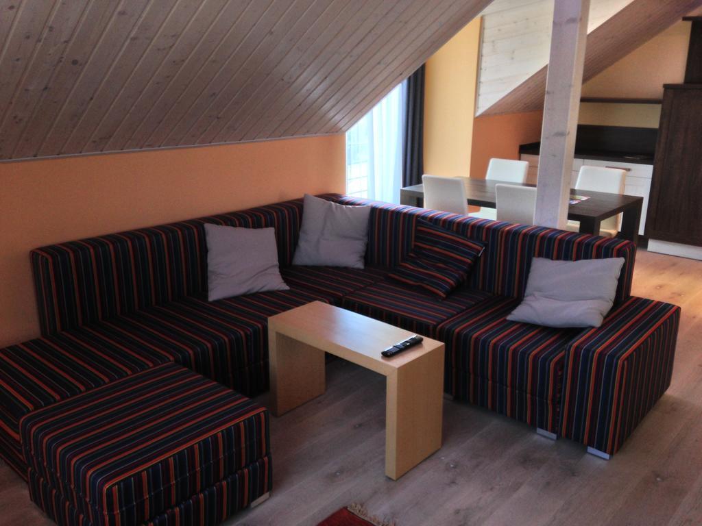 Lake View Apartments Near Golf Resort Kuneticka Hora, Dritec パルドゥビツェ 部屋 写真