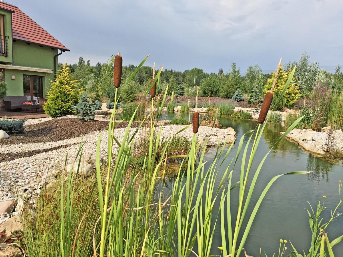 Lake View Apartments Near Golf Resort Kuneticka Hora, Dritec パルドゥビツェ エクステリア 写真
