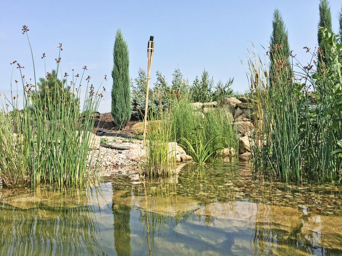 Lake View Apartments Near Golf Resort Kuneticka Hora, Dritec パルドゥビツェ エクステリア 写真